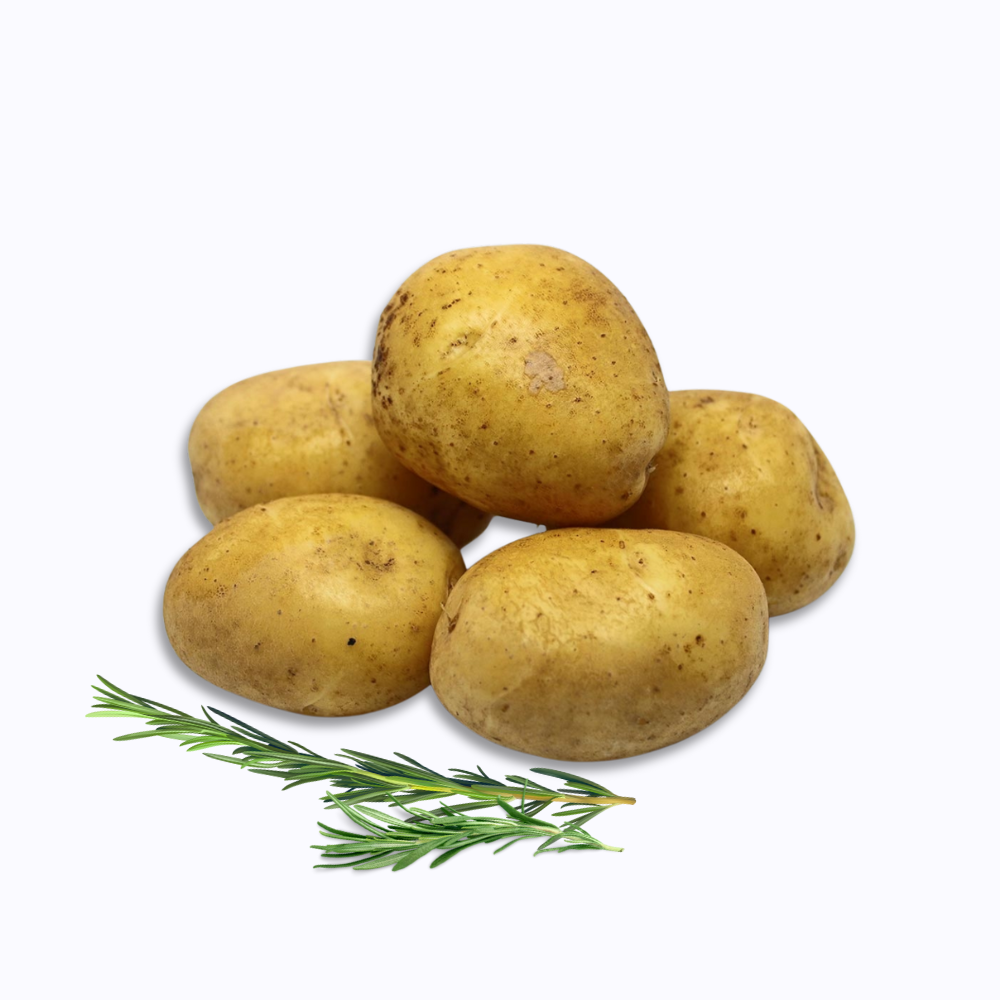 Frites de pommes de terre